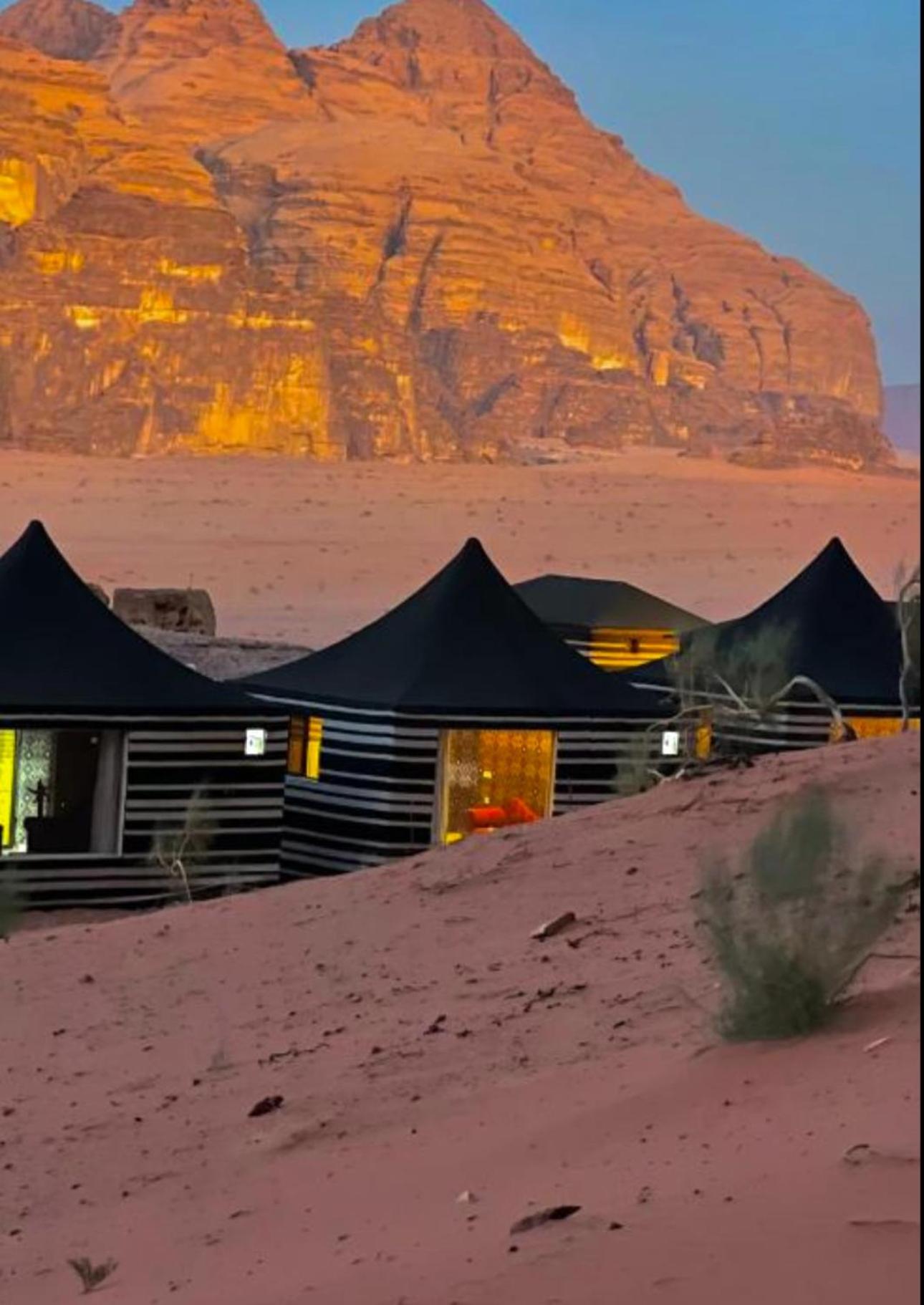 Rum Flower Bubbles Luxury Camp วาดิรัม ภายนอก รูปภาพ